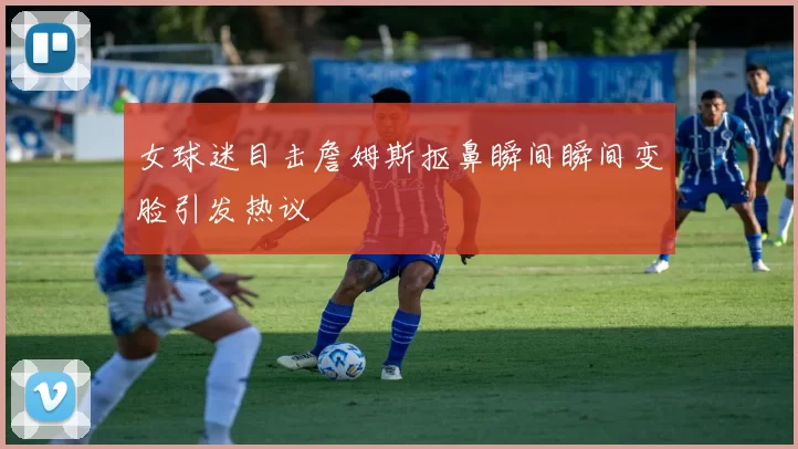 女球迷目击詹姆斯抠鼻瞬间瞬间变脸引发热议