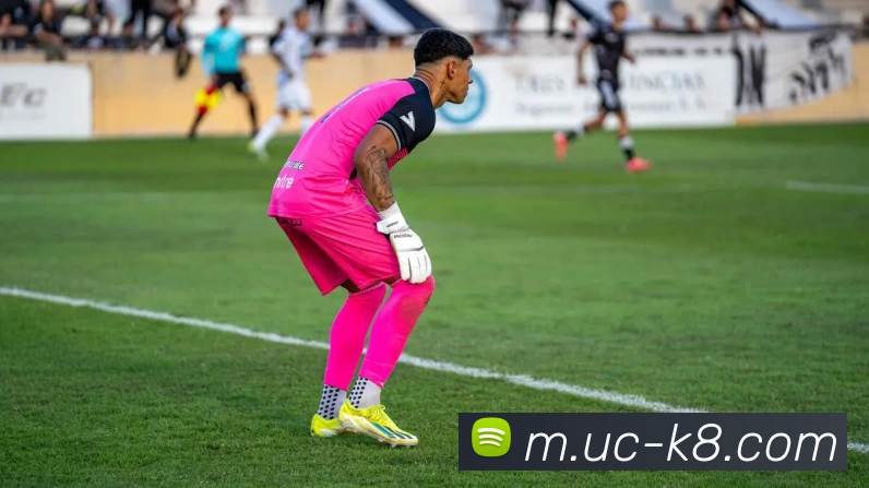 凯发娱乐APP 封面图